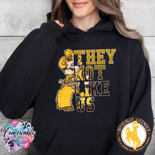 Cowboy Joe_They Not Like Us Hoodie
